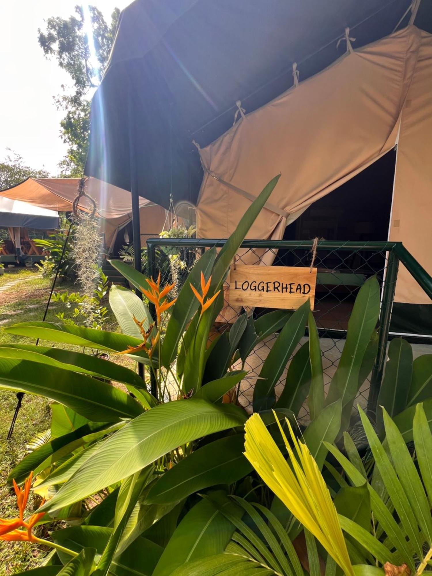 At One - Glamping Ξενοδοχείο Rekawa Εξωτερικό φωτογραφία